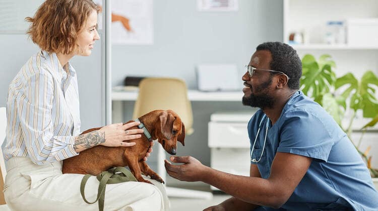 Pet Insurance: Protecting Your Furry Friends